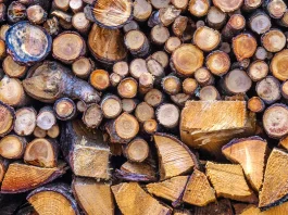 No hay amor más grande