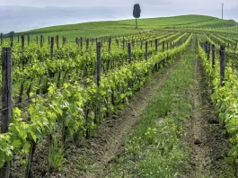 La esperanza del regreso de Jesucristo