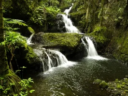 Los peligros ocultos de la inseguridad