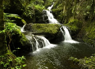 Los peligros ocultos de la inseguridad