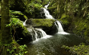 Los peligros ocultos de la inseguridad