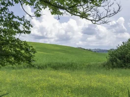 Cómo vencer la inseguridad