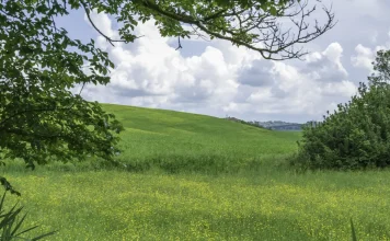 Cómo vencer la inseguridad