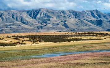 Para descubrir la voluntad de Dios