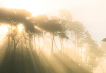 El amor de nuestro Padre