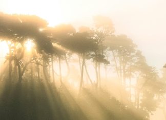 El amor de nuestro Padre