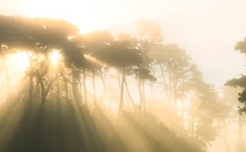 El amor de nuestro Padre