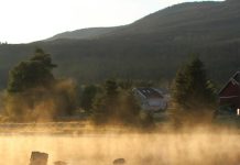 Paradoja visual de Cristo