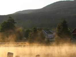 Paradoja visual de Cristo