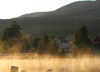 Paradoja visual de Cristo