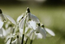 Humilde pero amado por Dios