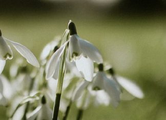 Humilde pero amado por Dios