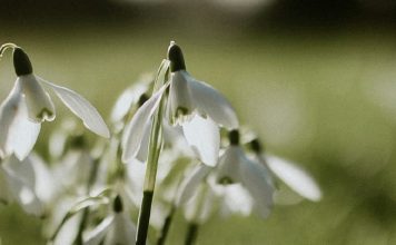 Humilde pero amado por Dios