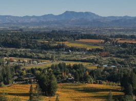 Una vida cultivada en Cristo