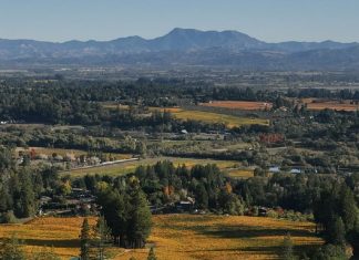 Una vida cultivada en Cristo