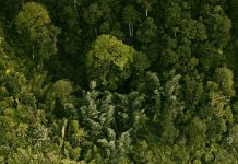 Nunca irrelevante a los ojos de Dios