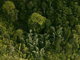 Nunca irrelevante a los ojos de Dios