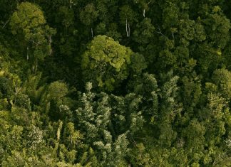 Nunca irrelevante a los ojos de Dios