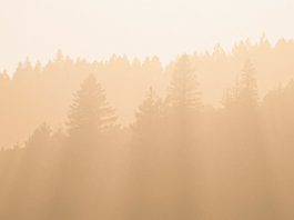 Nuestros planes y los planes de Dios