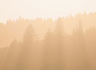 Nuestros planes y los planes de Dios