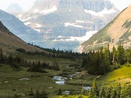 Dios jamás nos pasa por alto