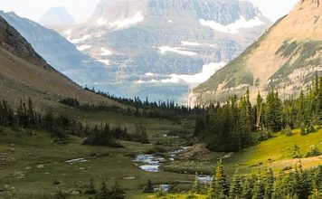 Dios jamás nos pasa por alto