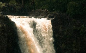 Control sabio en Dios