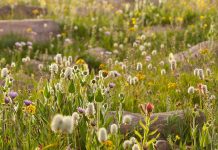 Encontrar amor en Dios