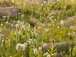 Encontrar amor en Dios