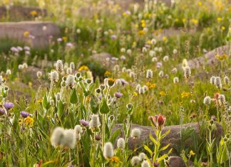 Encontrar amor en Dios