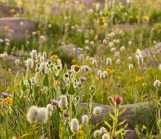 Encontrar amor en Dios