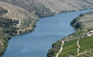 Plantado junto a la corriente