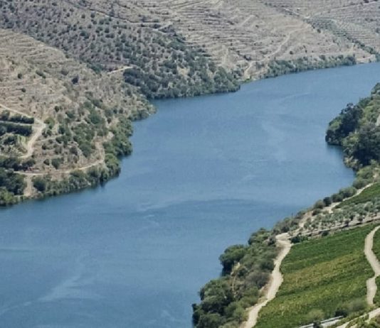 Plantado junto a la corriente