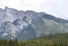 Responder a la generosidad