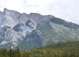 Responder a la generosidad