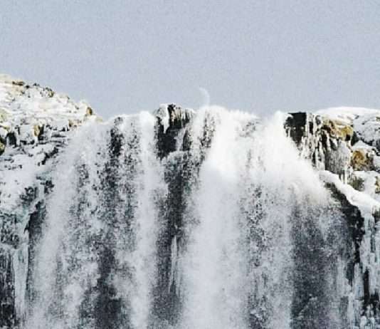 El gozo de dar
