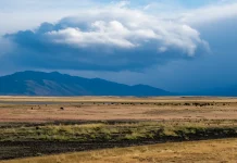 Para comprender el sacrificio de Jesucristo