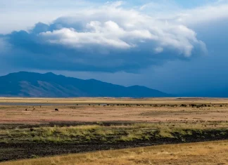 Para comprender el sacrificio de Jesucristo