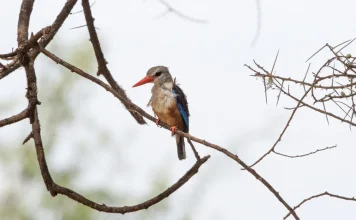 El mensaje de toda una vida