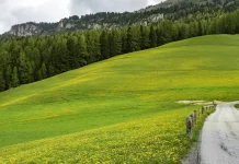 Los requisitos de una influencia piadosa