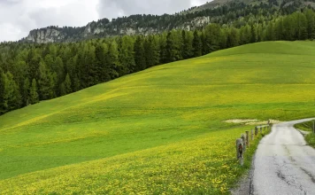 Los requisitos de una influencia piadosa