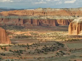 La lucha y el conocimiento de Dios