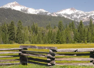Hoy es el día de salvación