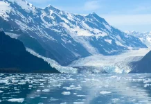 Vivir bajo el señorío de Jesucristo