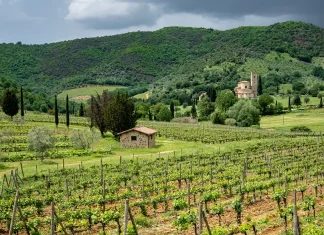 La prioridad de la relación