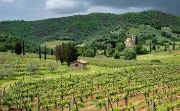 La prioridad de la relación