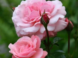 Los momentos que nos sostienen