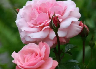 Los momentos que nos sostienen