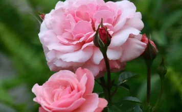 Los momentos que nos sostienen