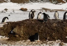 Victoria sobre el pecado